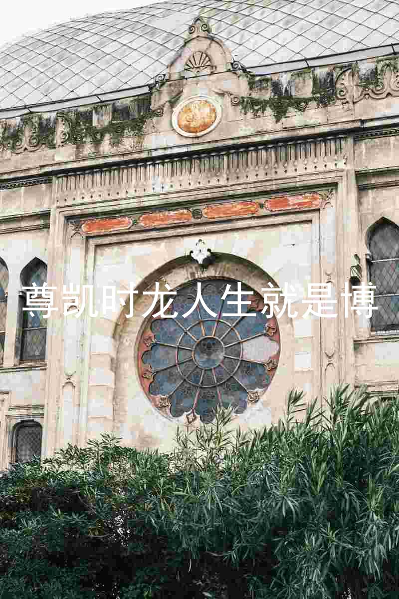 尊凯时龙人生就是博