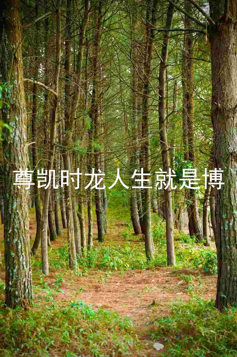 尊凯时龙人生就是博