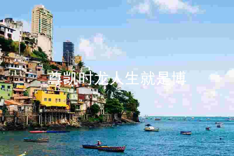 尊凯时龙人生就是博