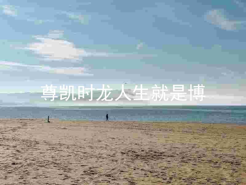 尊凯时龙人生就是博