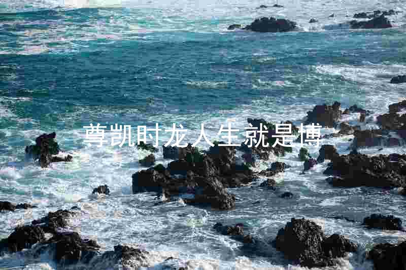 尊凯时龙人生就是博