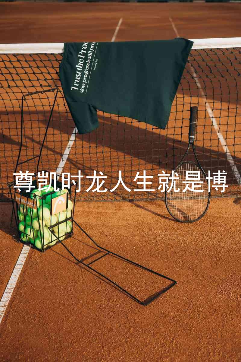 尊凯时龙人生就是博