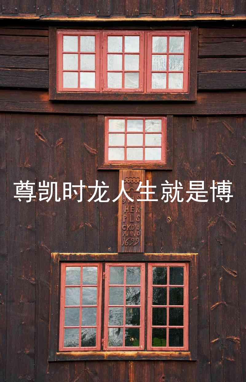 尊凯时龙人生就是博
