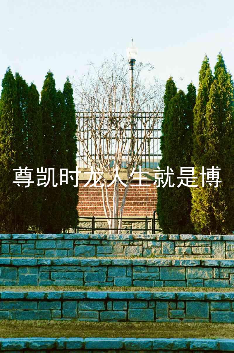 尊凯时龙人生就是博